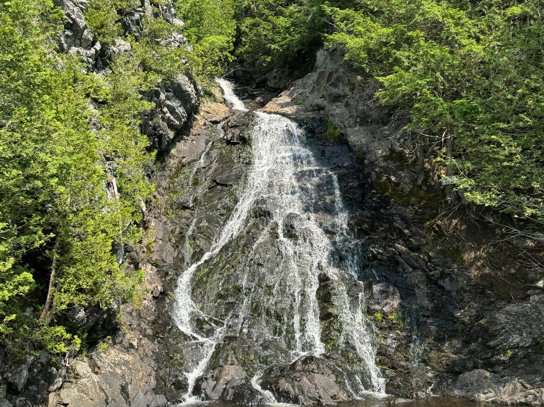 Northeast Snowmobile & ATV Rentals-Gorham必去景点