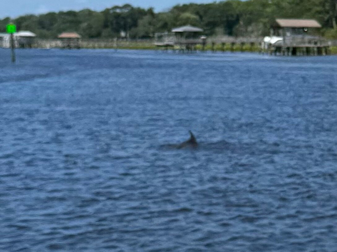 TourH2O-Holden Beach必去景点