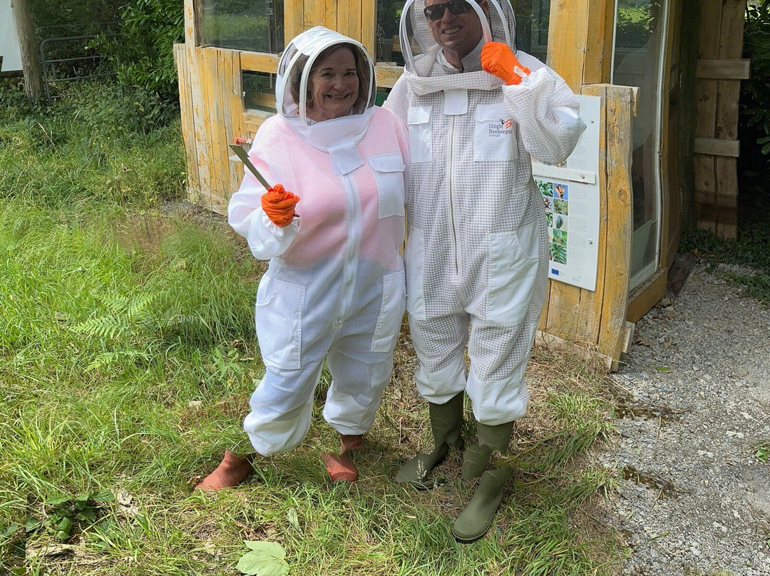 Killarney Bee Walks and Honey-基拉尼必去景点