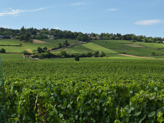 Visiotrain-博讷必去景点