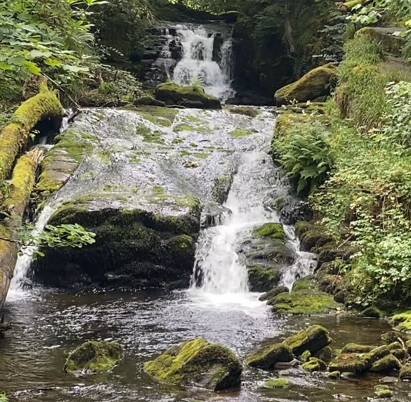 Watersmeet House-林茅斯必去景点