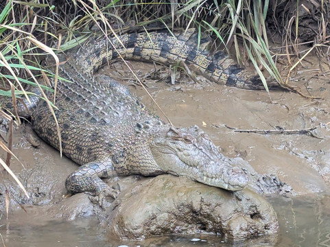 AAT国王悉尼一日游-悉尼必去景点
