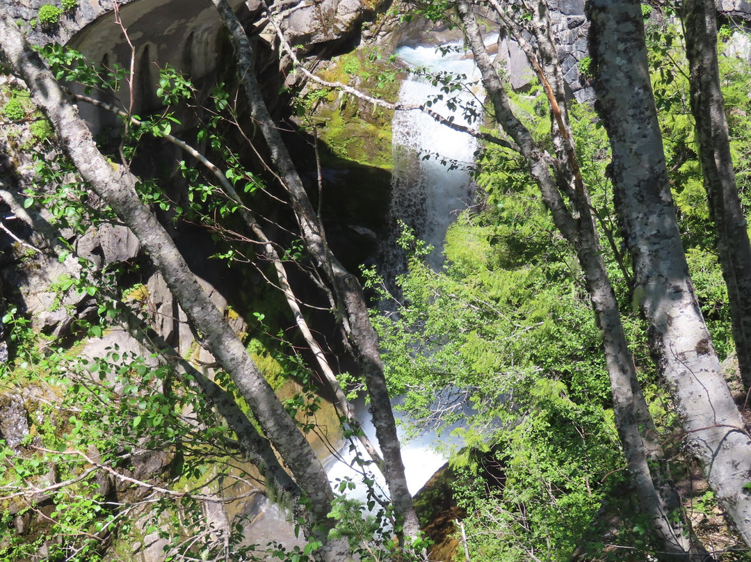 Christine Falls Viewpoint-雷尼尔山国家公园必去景点