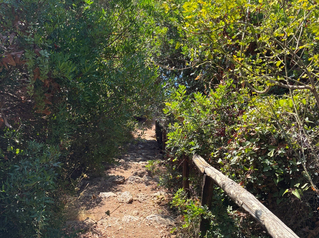 Grotta delle Capre-San Felice Circeo必去景点