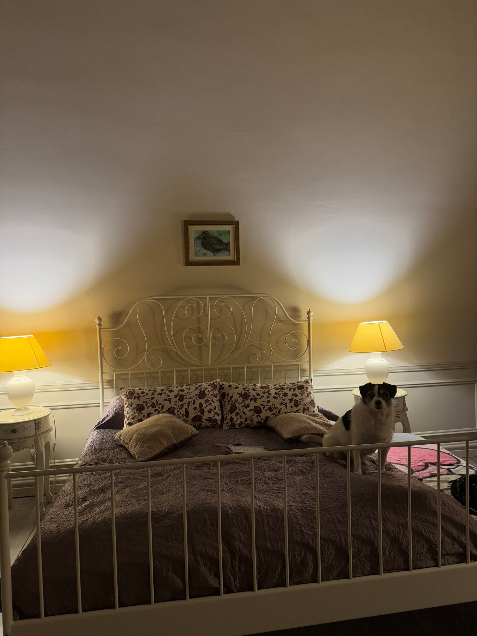 Palac Nakomiady-官方