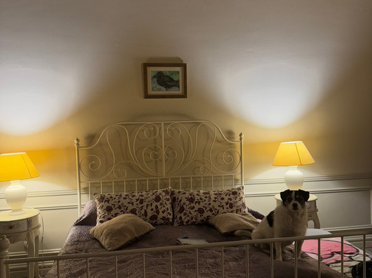 Palac Nakomiady主图