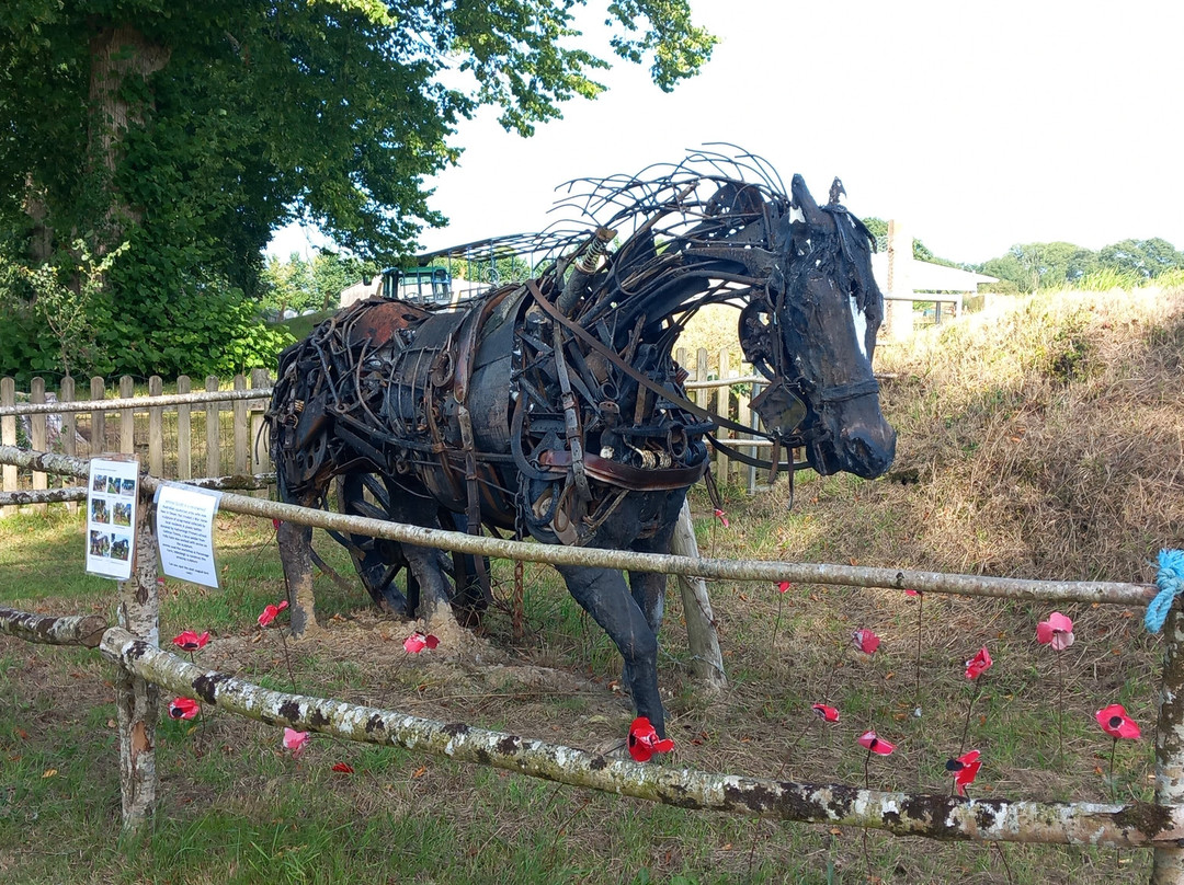 War Horse Valley Country Farm Park-Iddesleigh必去景点