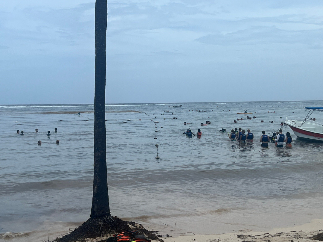 Akumal Dive Center-艾库玛尔必去景点