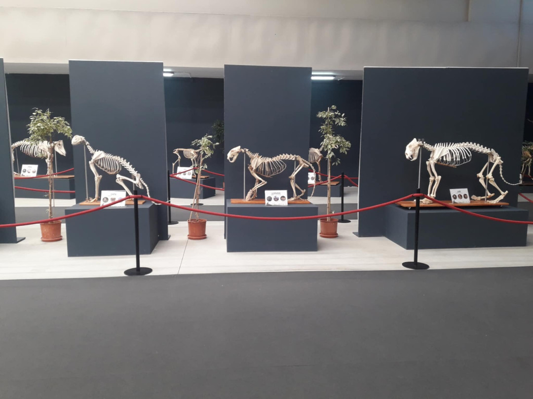 Zoo da Maia-Maia必去景点