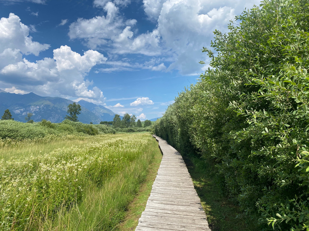 Museo delle Palafitte di Fiavé-Fiave必去景点