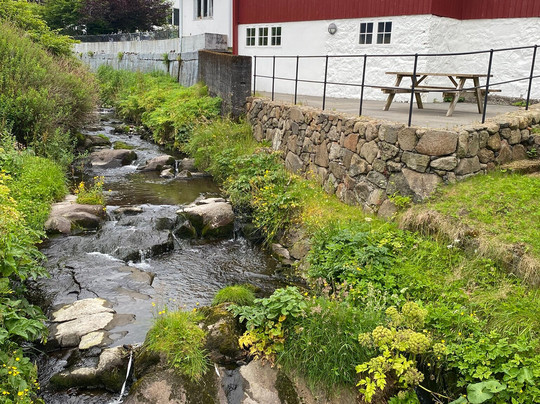 Viðarlundin Park-托沙文必去景点