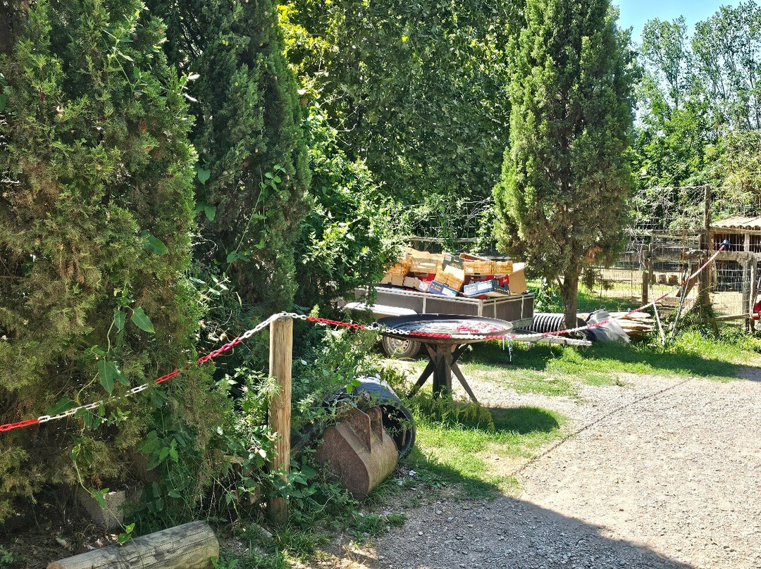 La Ferme de Découverte-Saint-Pierre-Lafeuille必去景点