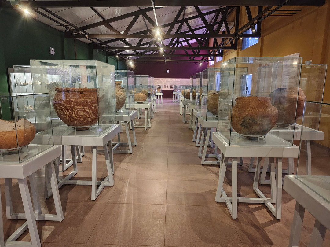 Museu do Marajo-Cachoeira Do Arari必去景点