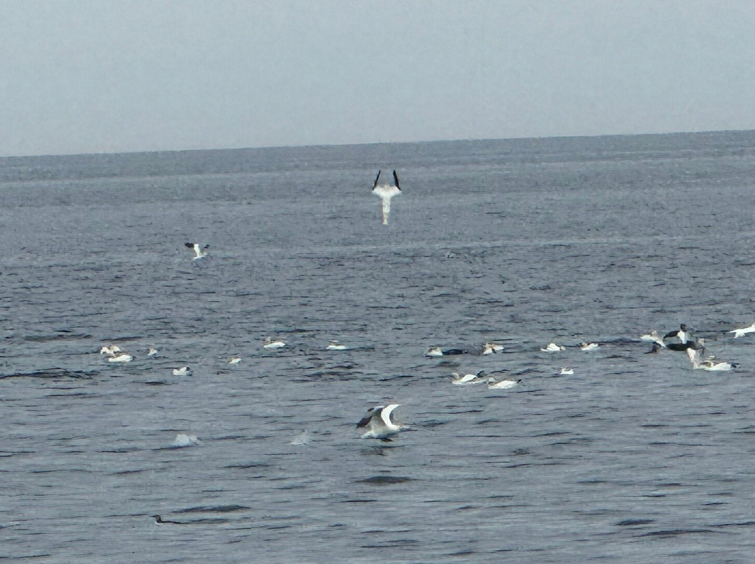 Turus Mara-Dervaig必去景点