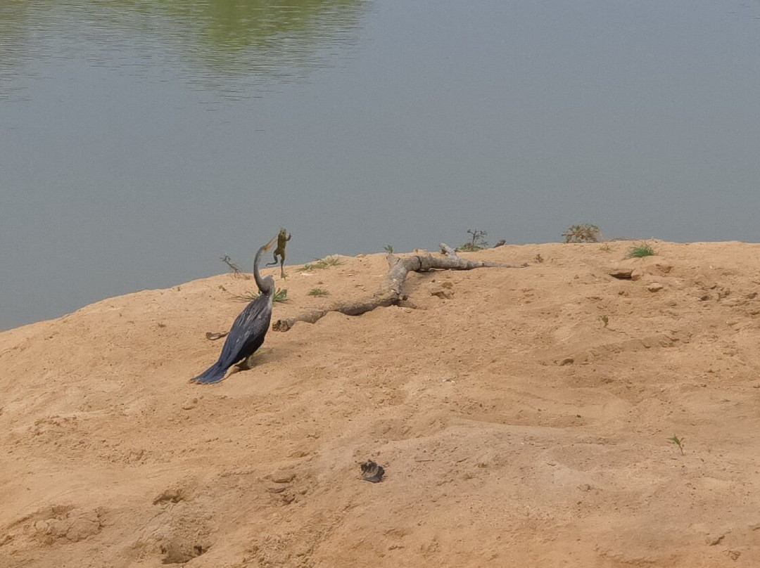 Sri Wild Yala Safari-蒂瑟默哈拉默必去景点