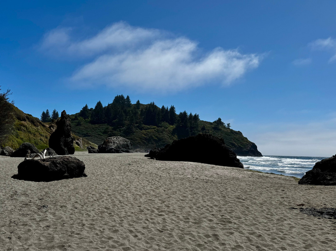 Trinidad State Beach-Trinidad必去景点