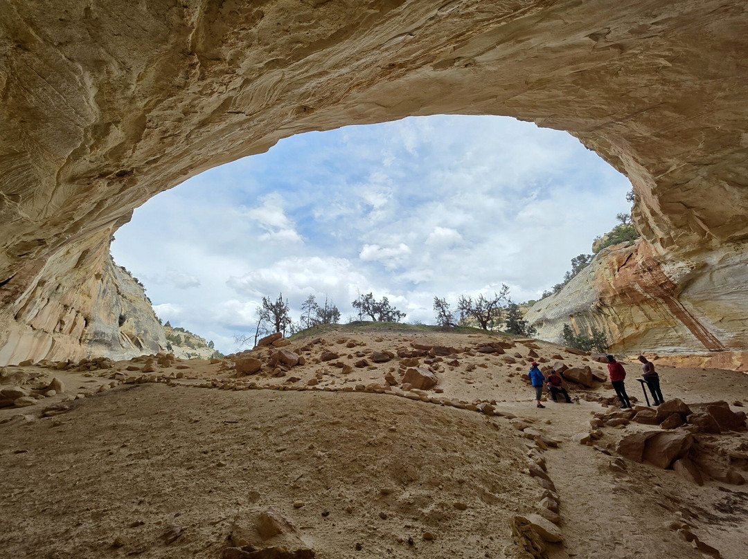 OARS Dinosaur-Vernal必去景点