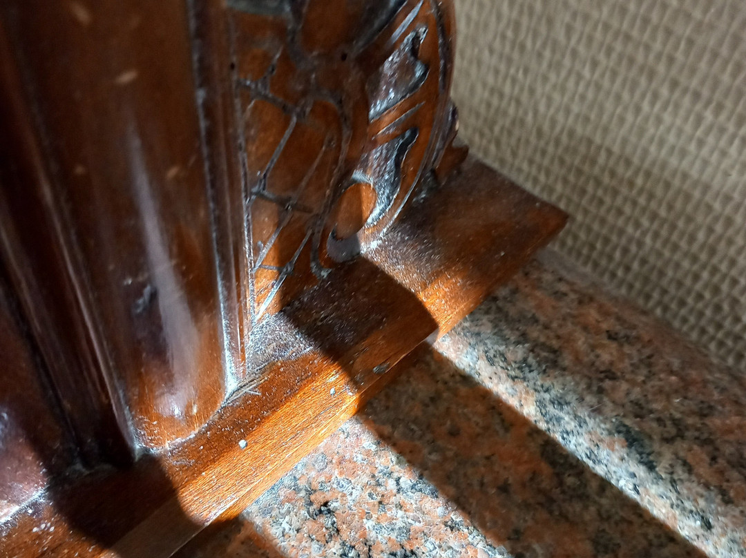 潘诺尼亚酒店主图