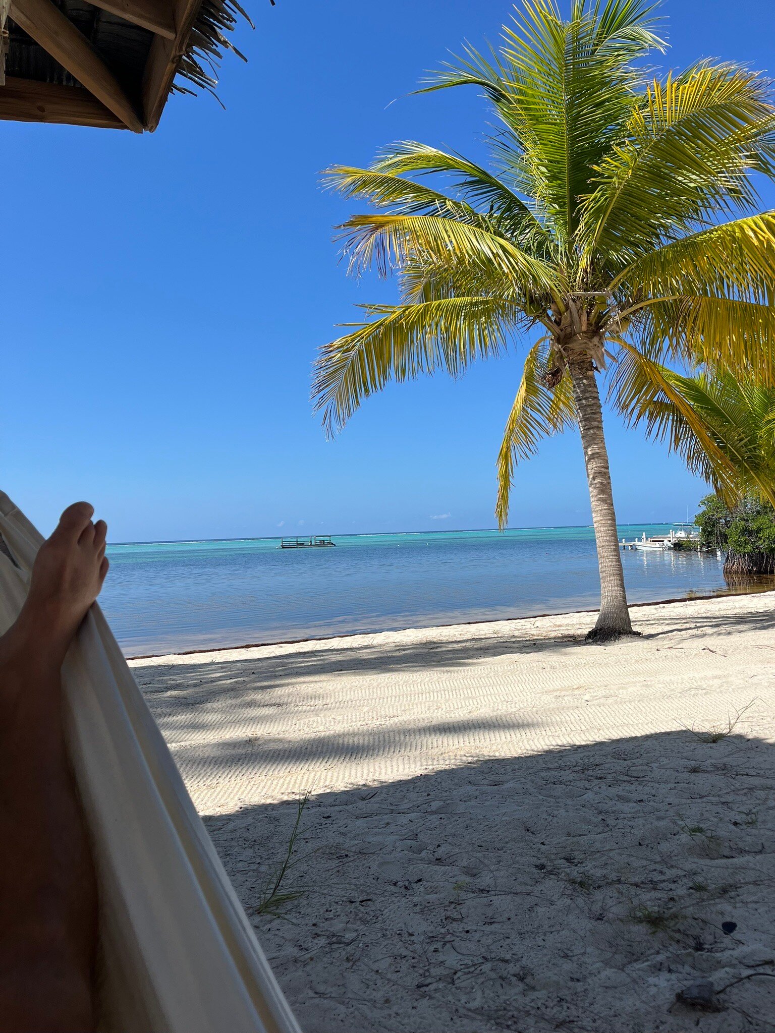 Southern Cross Club-官方