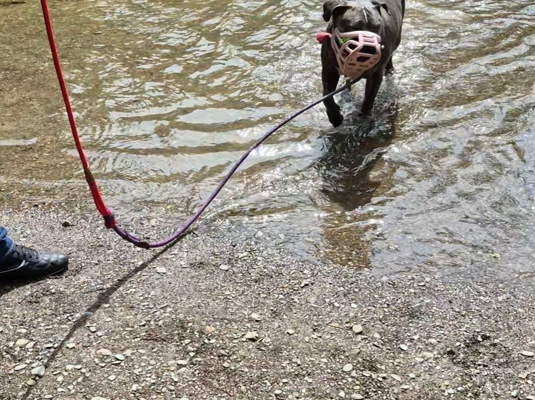 Tarr Steps-Dulverton必去景点