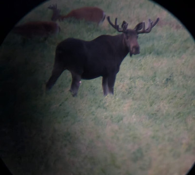 Wild Frame Adventures-赫尔辛基必去景点