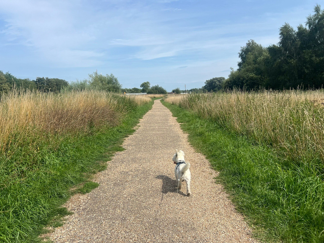 Whitlingham Country Park-诺威奇必去景点