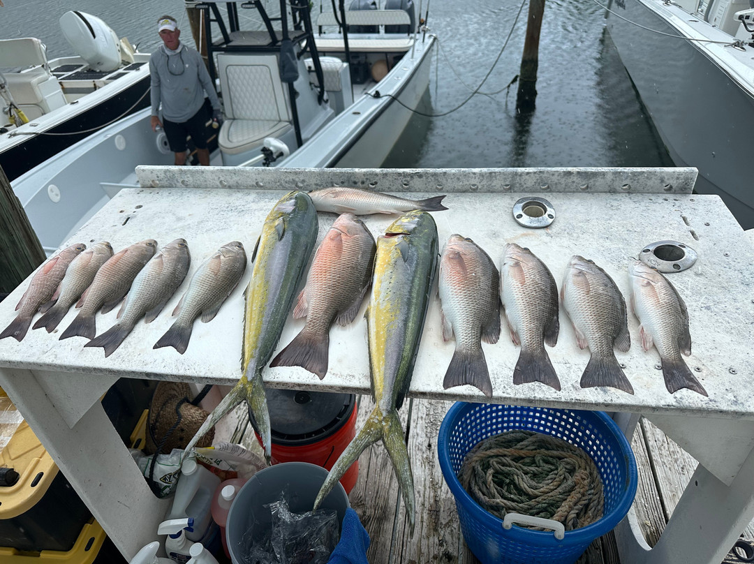 Hennessy Sportfishing