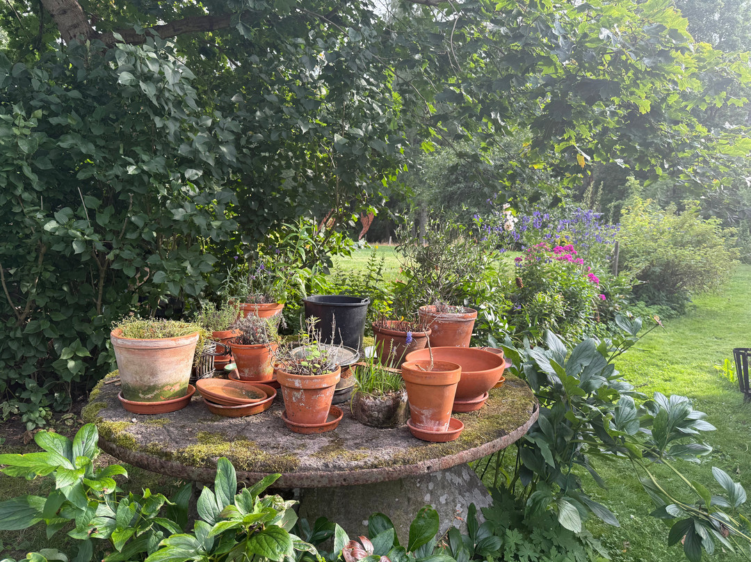 STF Tatorp Cafe & Logi Gota Kanal主图