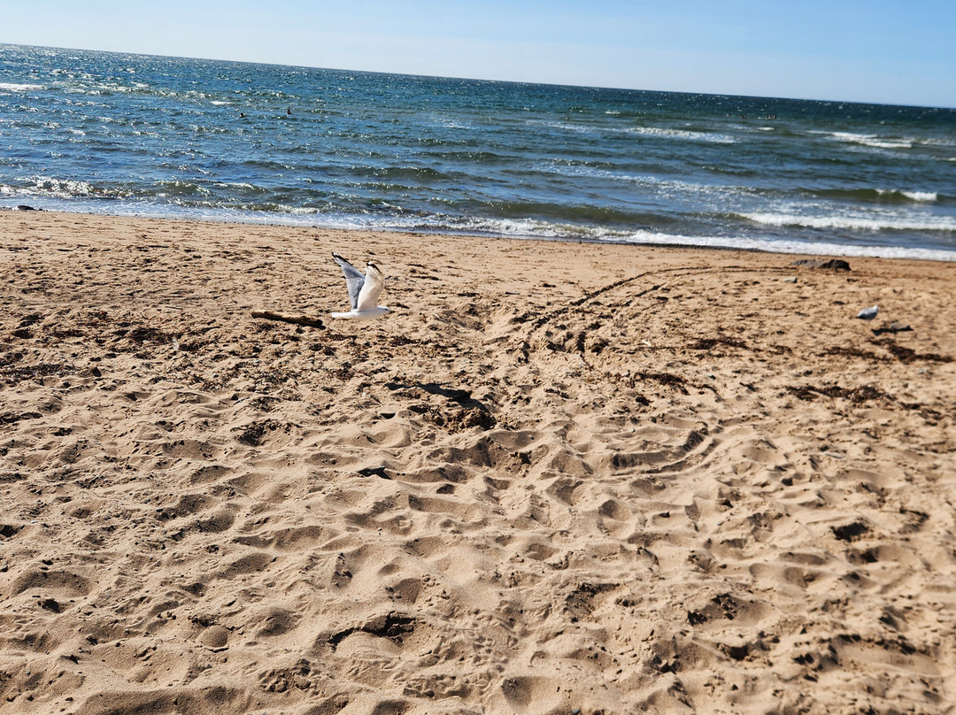 West Mabou Beach-Mabou必去景点