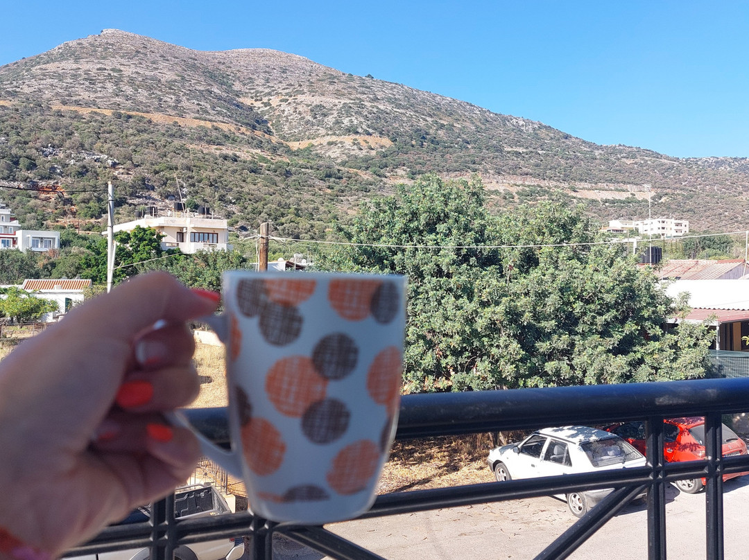 Athena Apartments主图