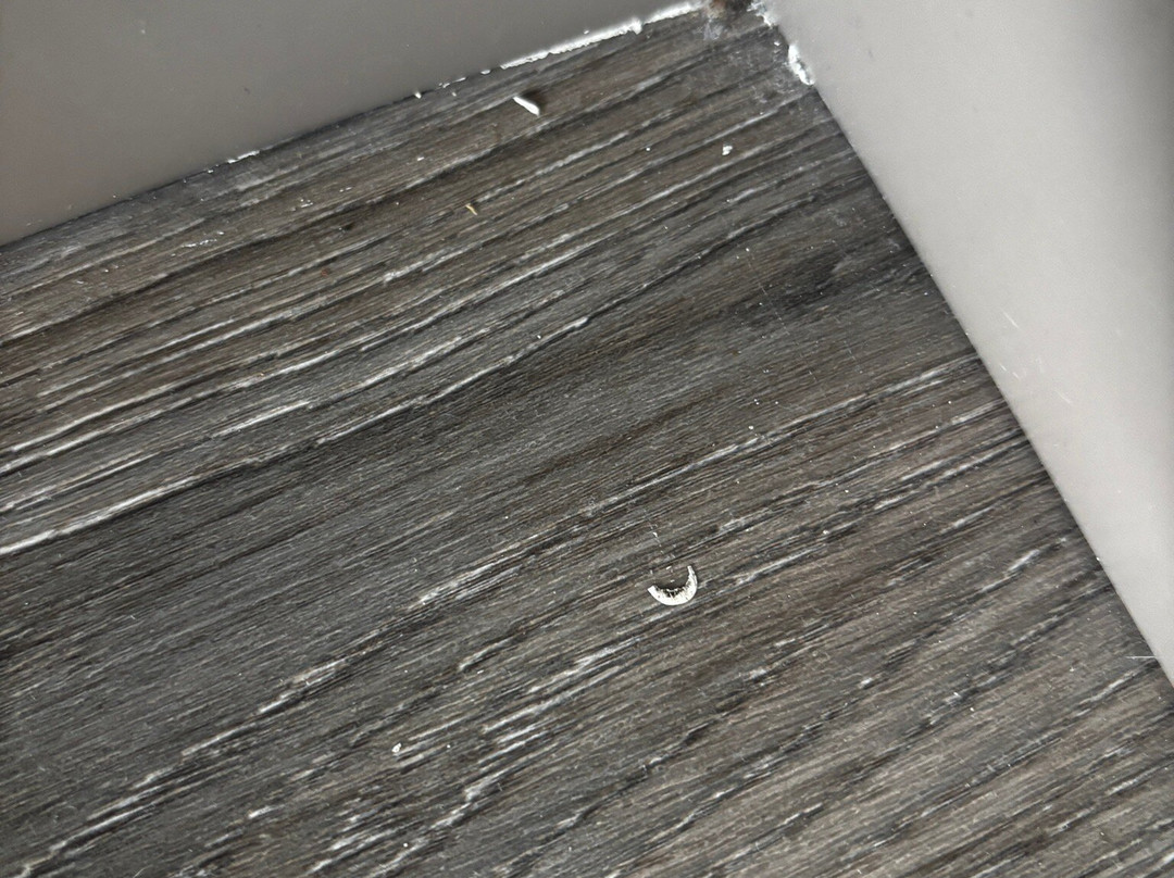 芝加哥 Tinley 公园会展中心假日酒店主图