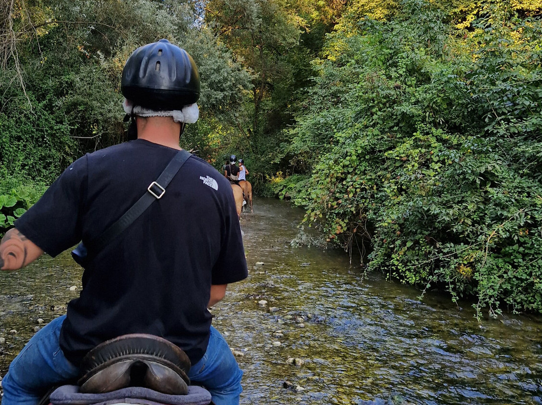 Sulla Collina di Castelnuovo di Farfa-Castelnuovo di Farfa必去景点