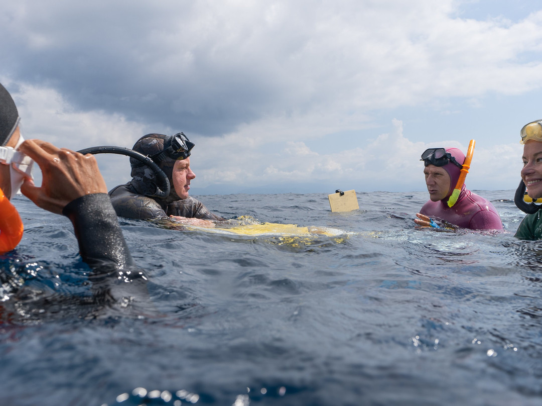 Freedive Nusa-Ped必去景点