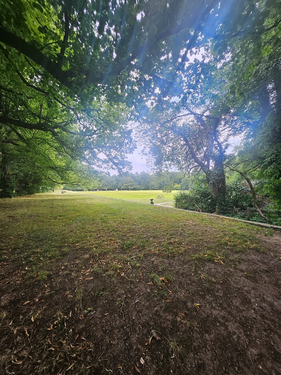 推特代尔纹章酒店-官方