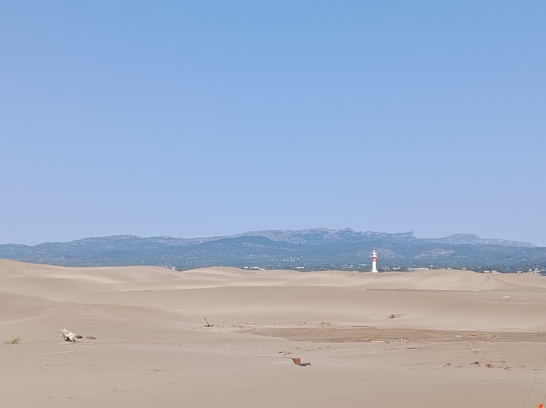 Playa La Punta del Fangar-代尔特布雷必去景点