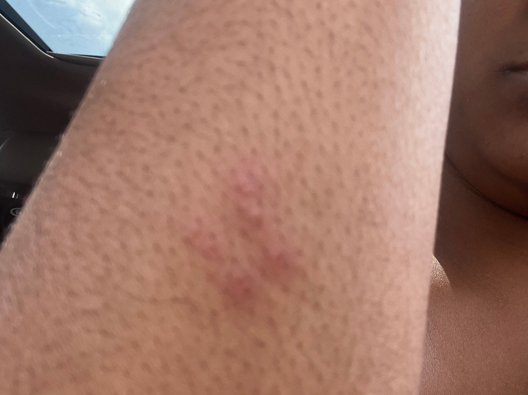 Holiday Inn & Suites St. Paul NE - Lake Elmo by IHG主图