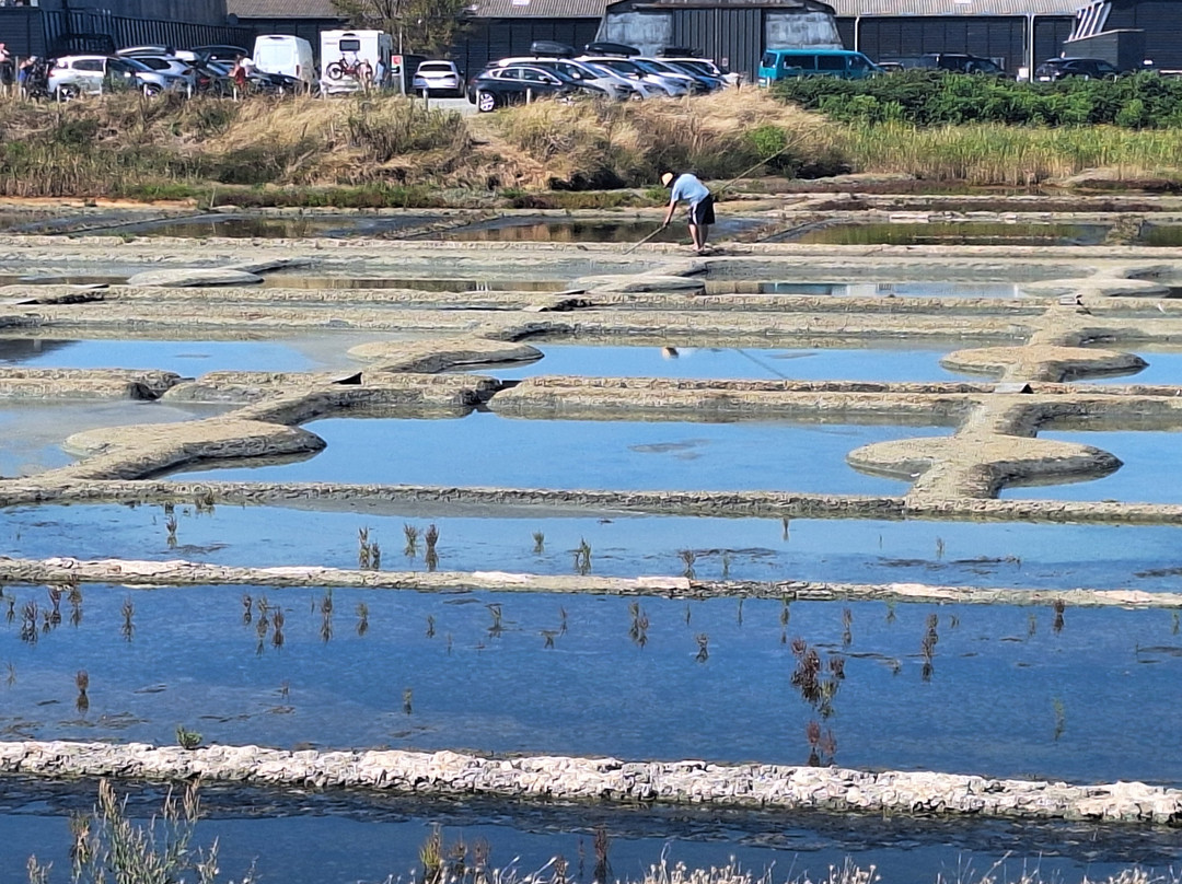 Terre de Sel-Guerande必去景点