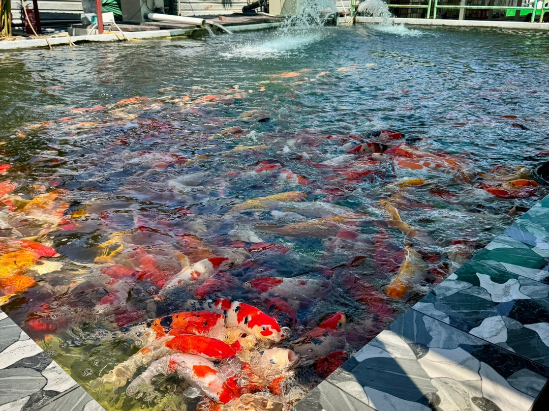 Desaru Mini Zoo-Pengerang必去景点