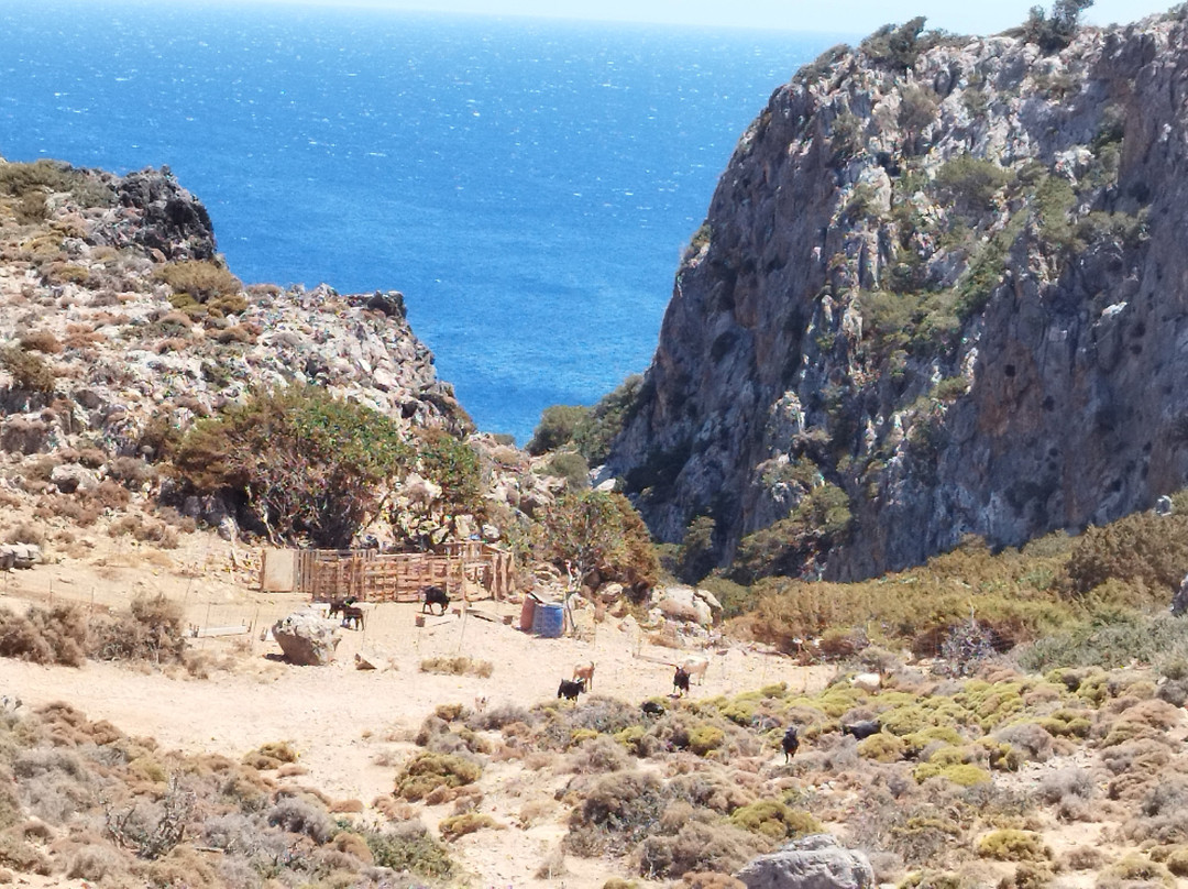 Krios Beach-Palaiochora必去景点