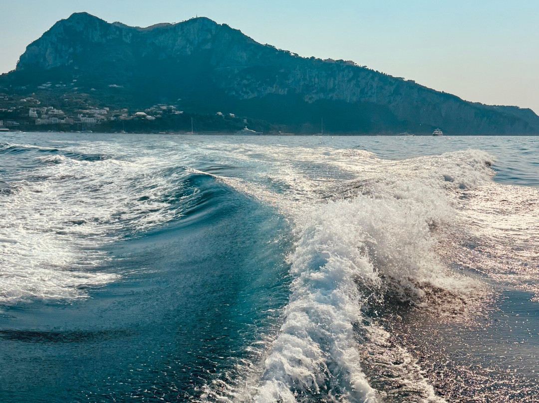 Alfamarine-维克艾库塞必去景点