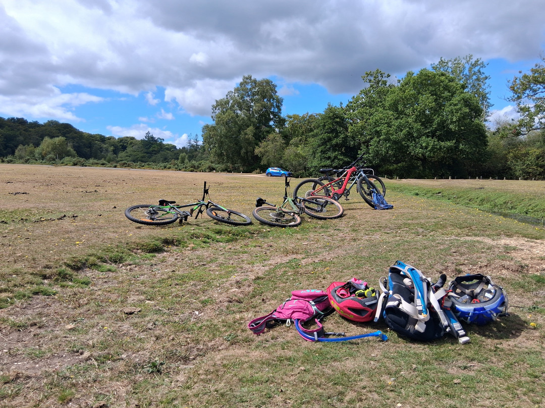 Cyclexperience (new Forest)-Brockenhurst必去景点