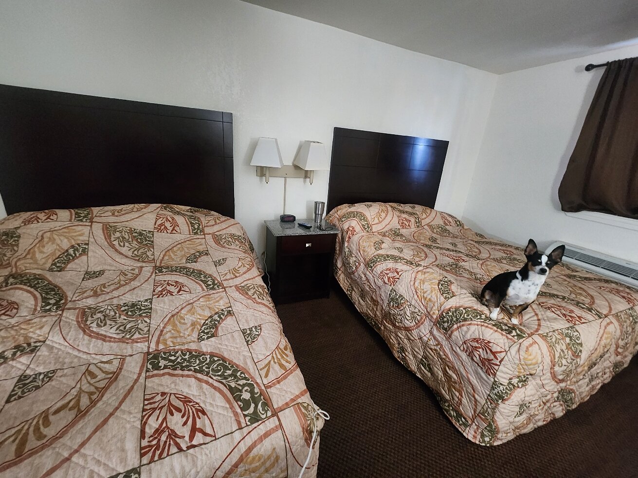 Sands Inn & Suites-官方