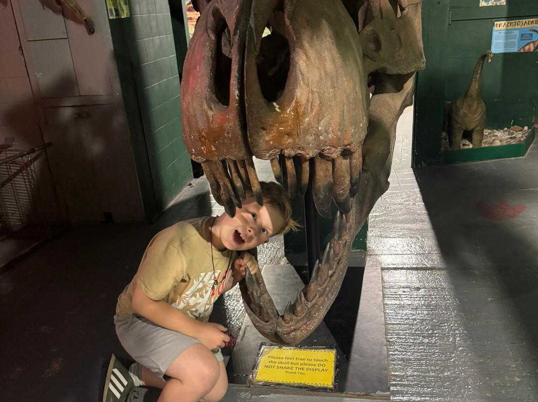 Torquays Dinosaur World-托基必去景点