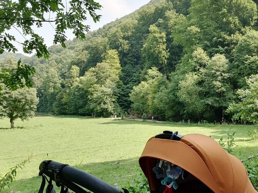 Uracher Wasserfall-巴德乌拉必去景点