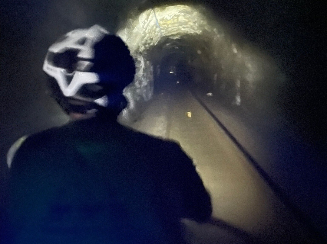 Dresinsykling på Flekkefjordsbanen Day Tours-弗莱克菲尤尔必去景点