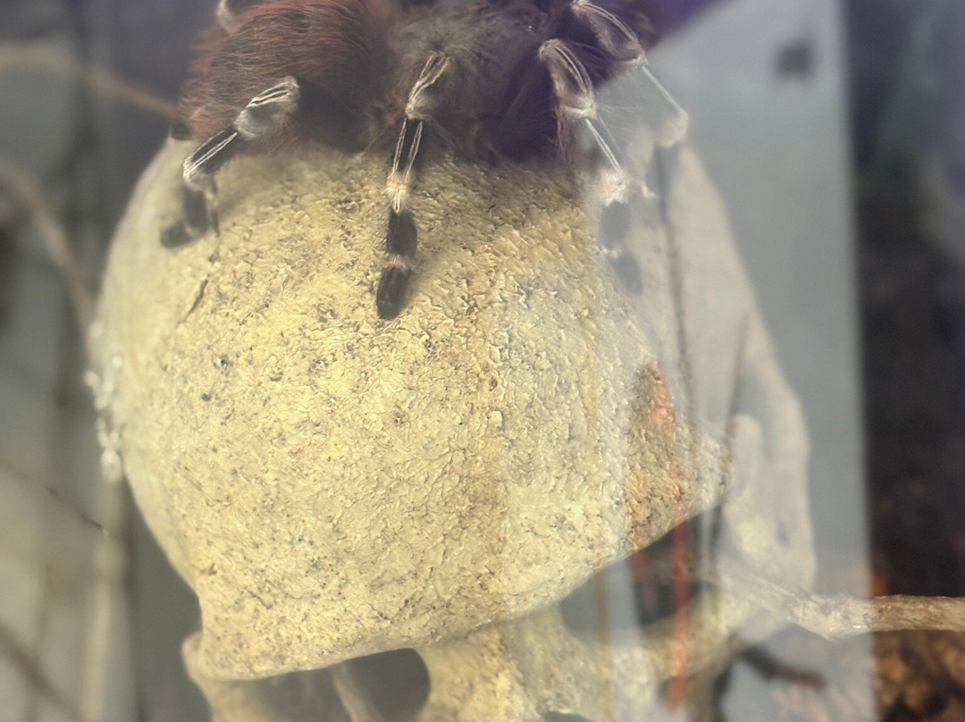 The Bug Parc-Lenwade必去景点
