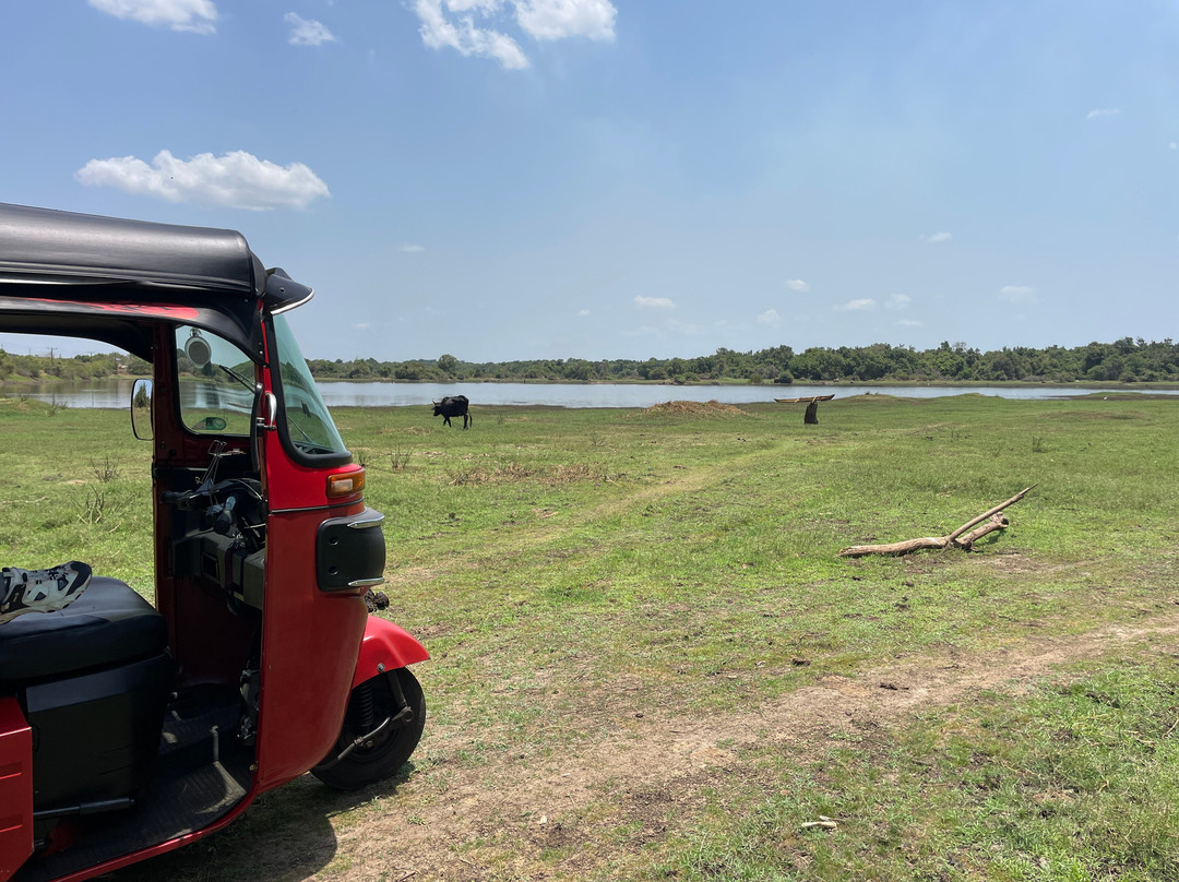 Tuk Tuk Rental Negombo-尼甘布必去景点