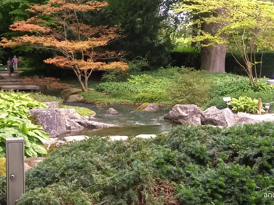 Botanischer Garten Augsburg-奥格斯堡必去景点