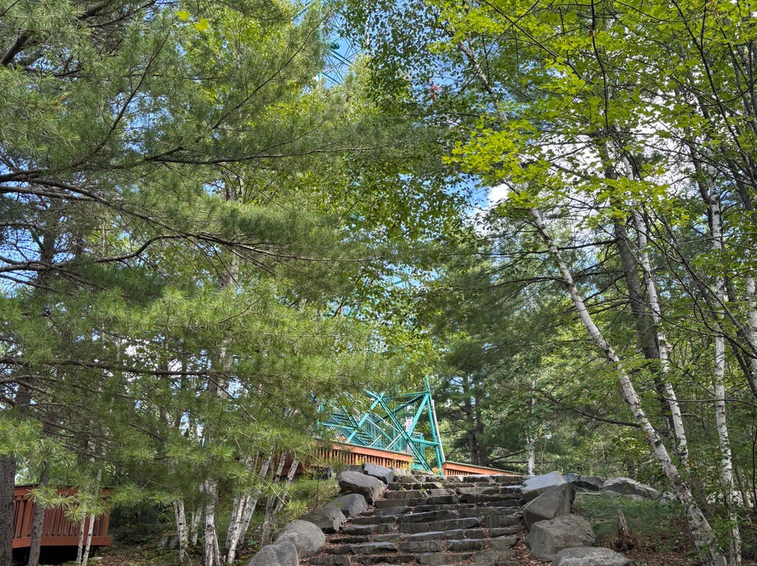 Temagami Fire Tower-Temagami必去景点