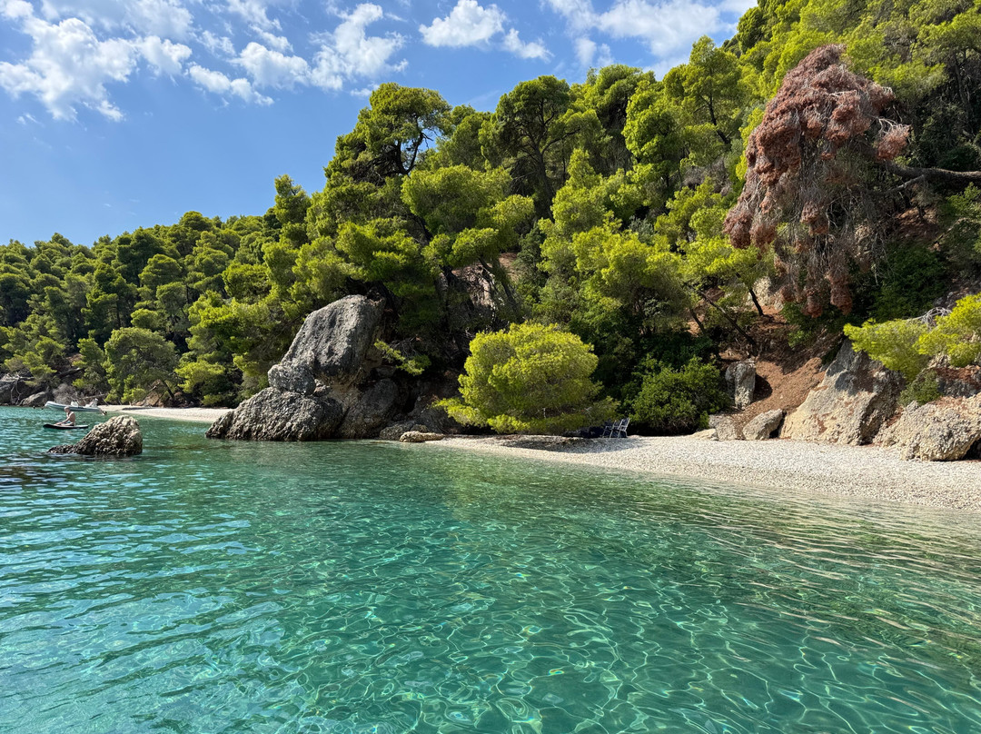 Alsalos boats and more-Palairos必去景点